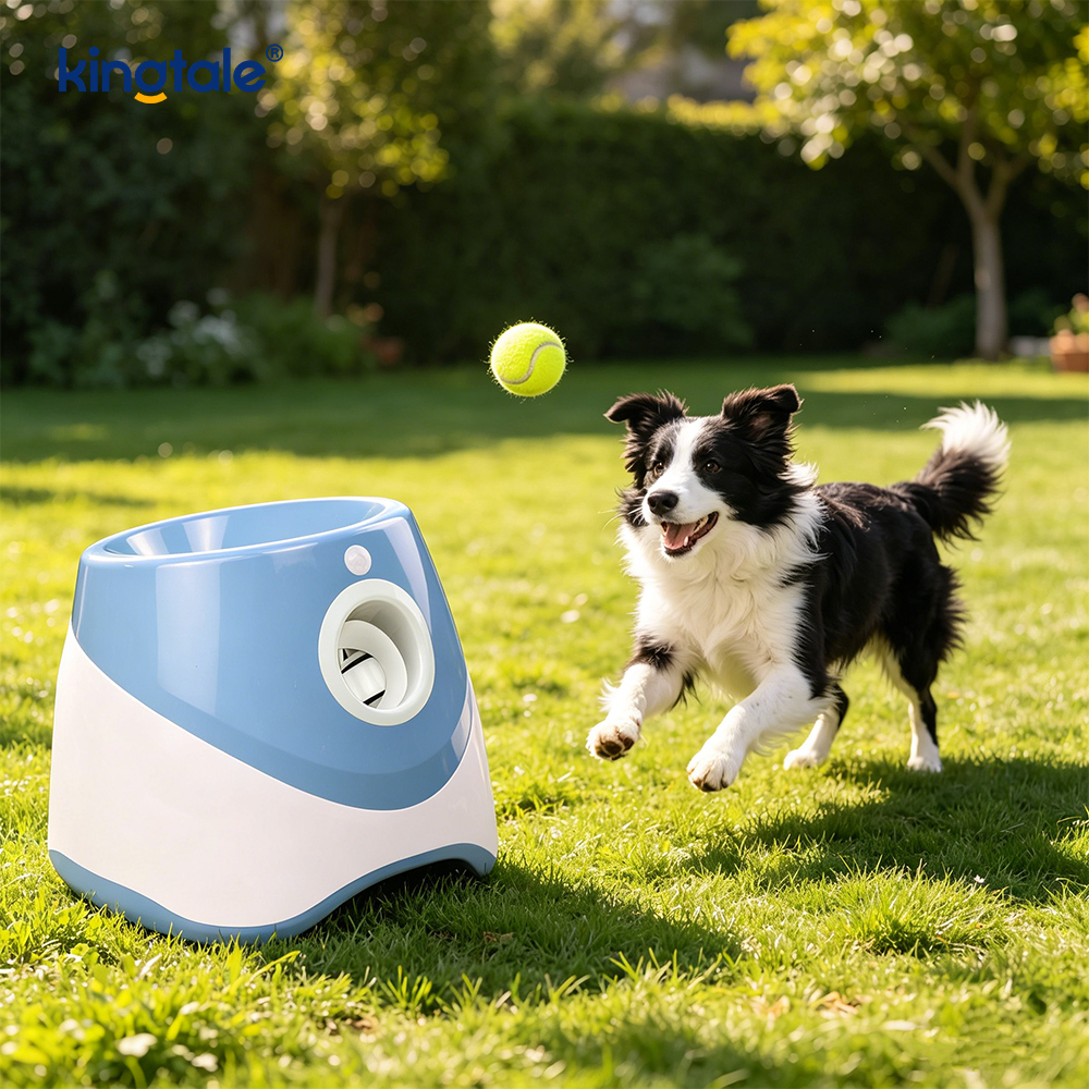Lanciatore automatico di palline con 3 mini palline da tennis Giochi per cani da esterno