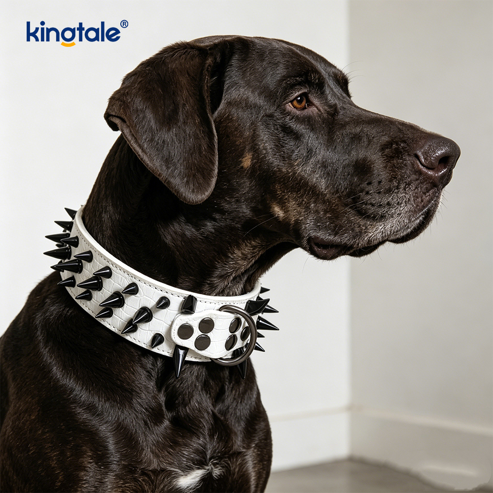 Collare per cani con borchie a spillo affilato Collari per cani in pelle alla moda