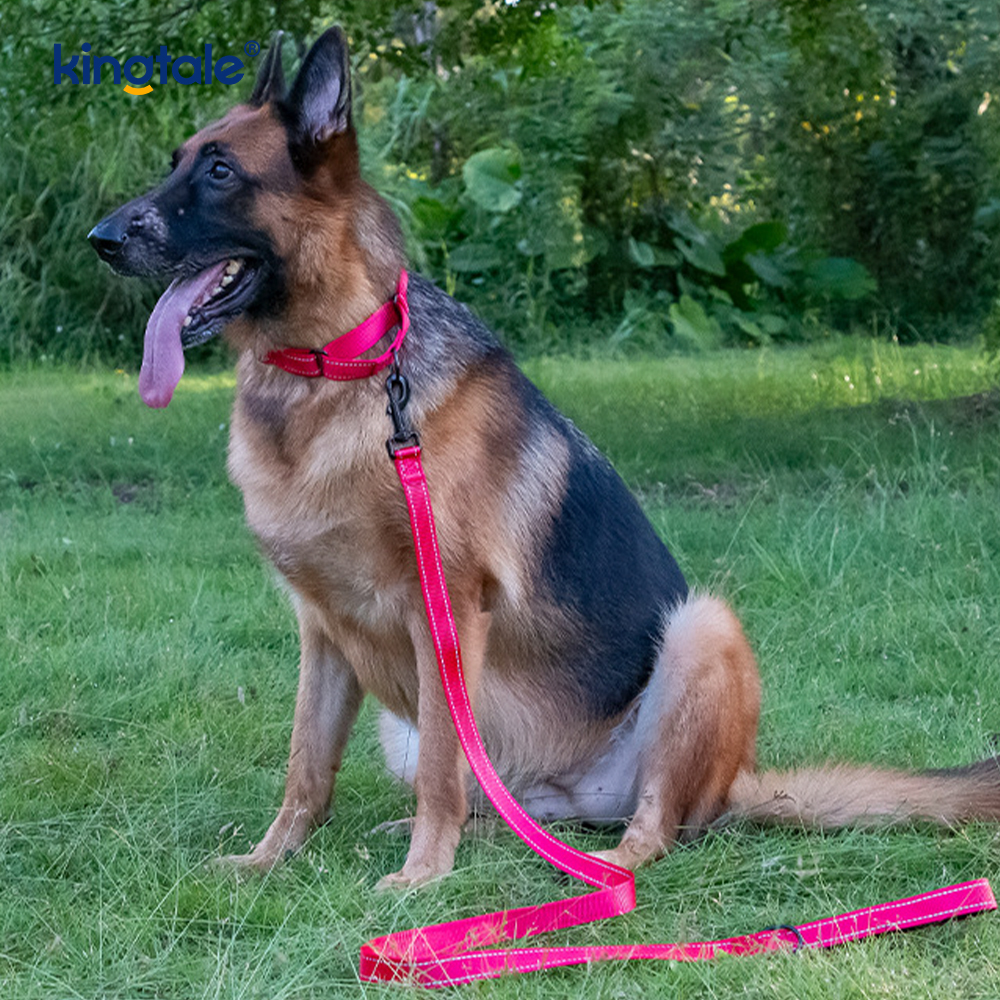 Collare per cani martingala in nylon regolabile riflettente a sgancio rapido e senza tiraggio