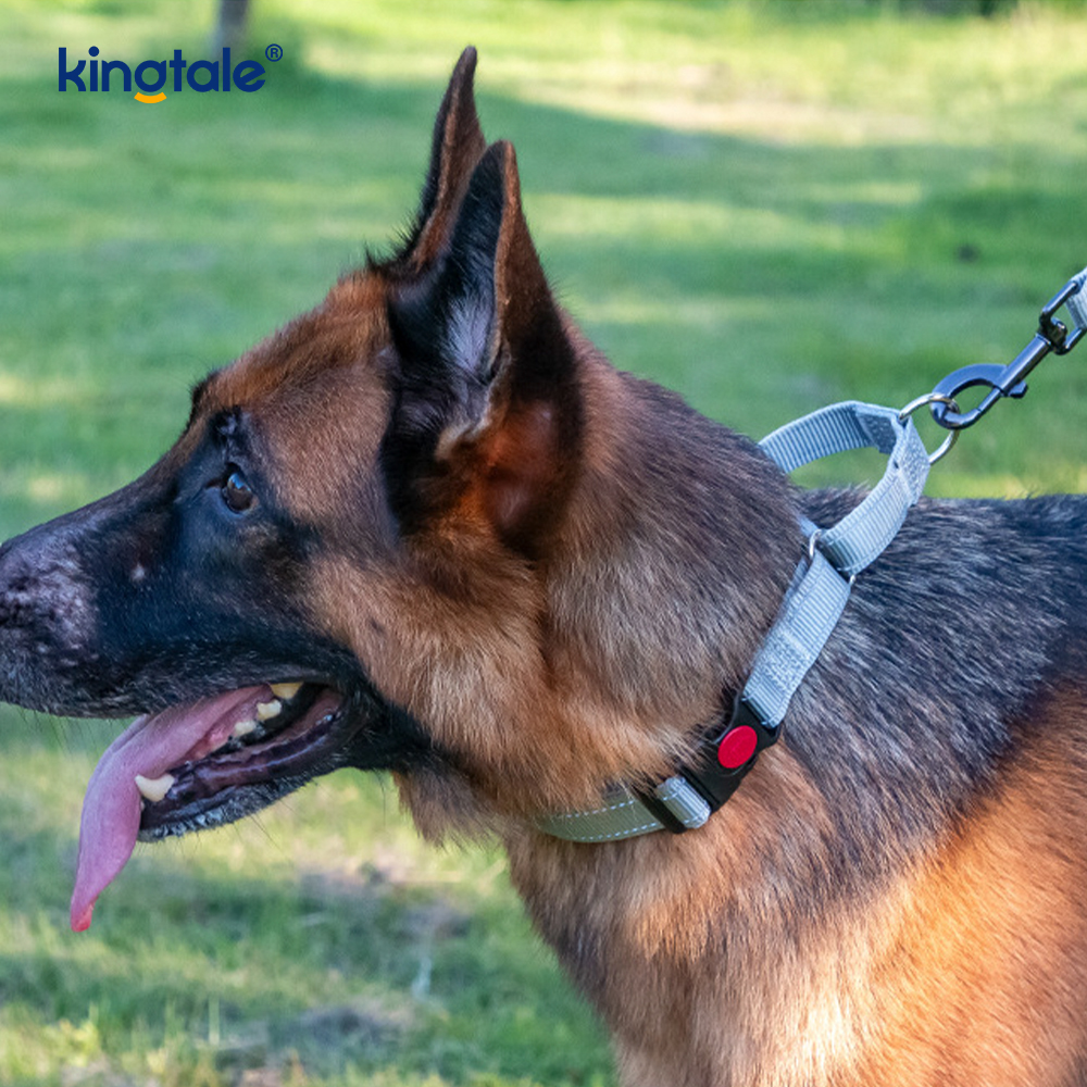 Collare per cani martingala in nylon regolabile riflettente a sgancio rapido e senza tiraggio