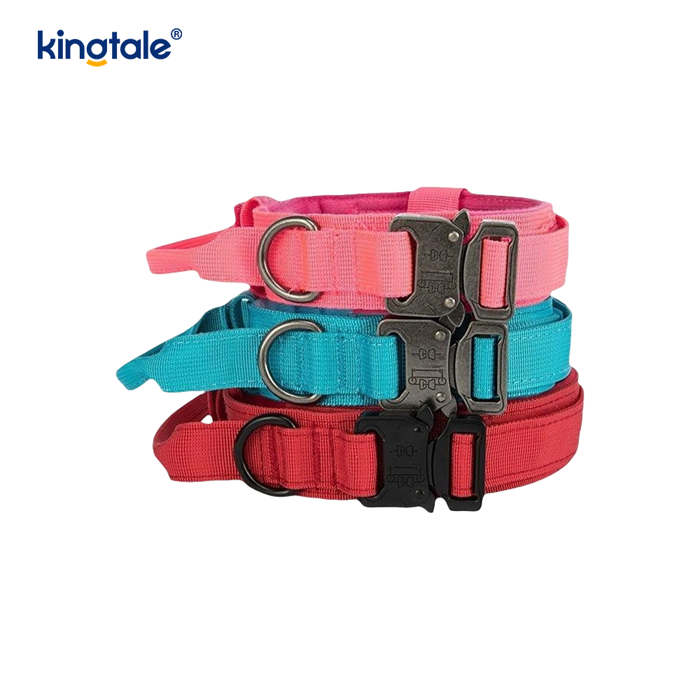CutsomTraining Maniglia di controllo in nylon Collare con fibbia in metallo