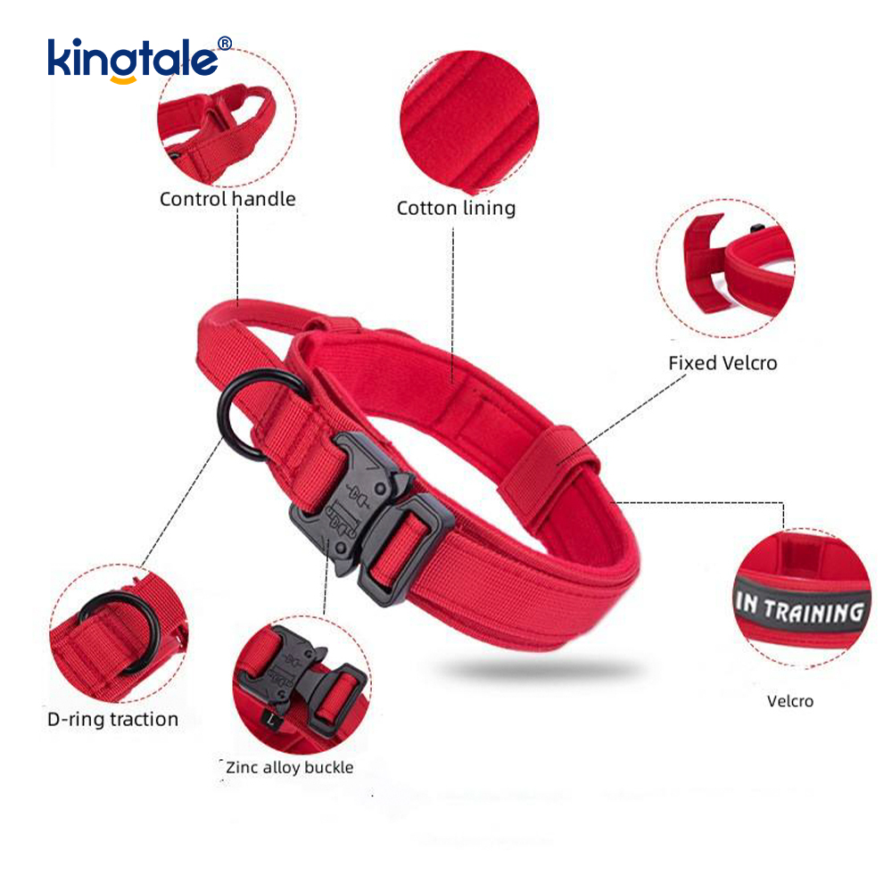 CutsomTraining Maniglia di controllo in nylon Collare con fibbia in metallo