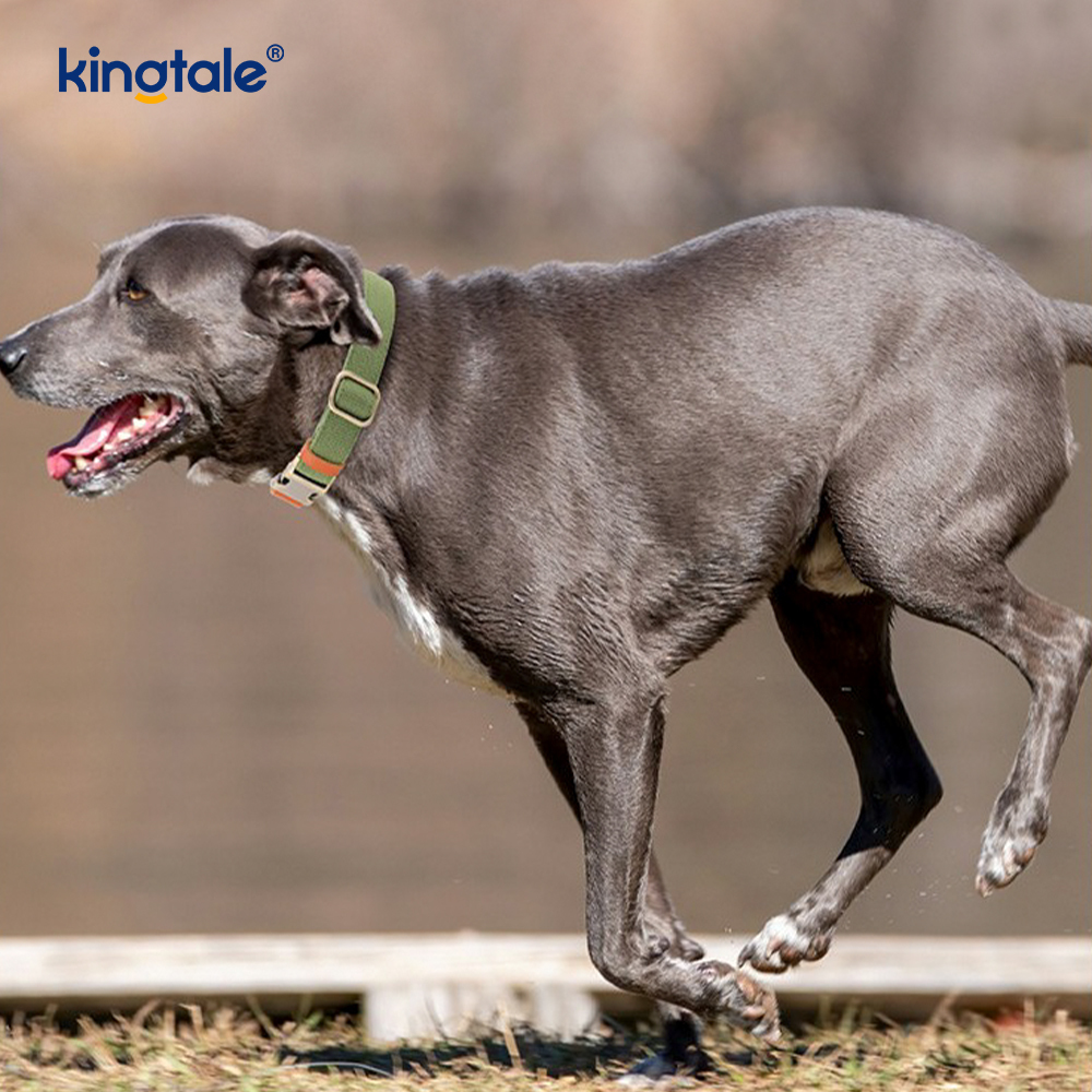 Collare per cani in canapa naturale durevole, traspirante e non costrittivo