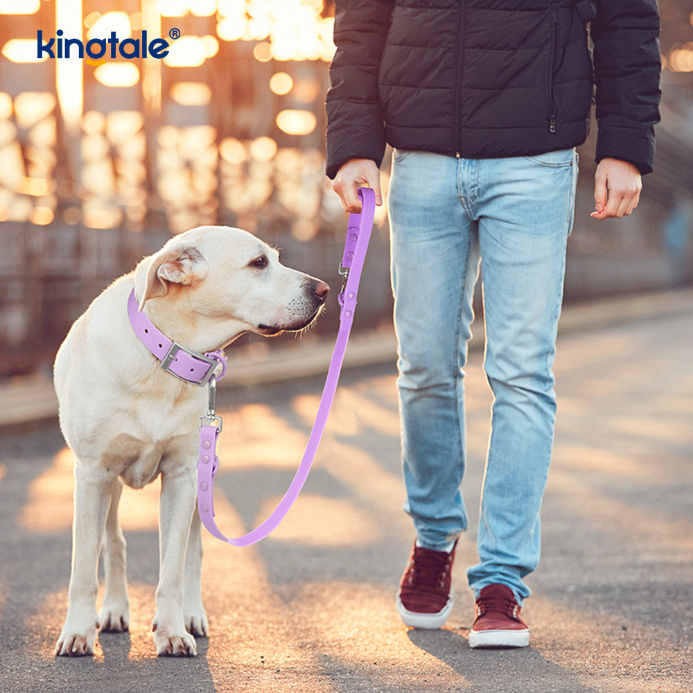 Guinzaglio per collari per cani impermeabile e resistente all'abrasione rivestito in PVC