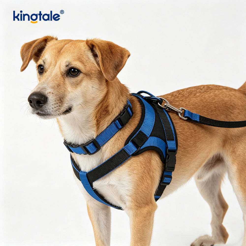 Collari per animali domestici con guinzaglio per cani a mani libere riflettenti