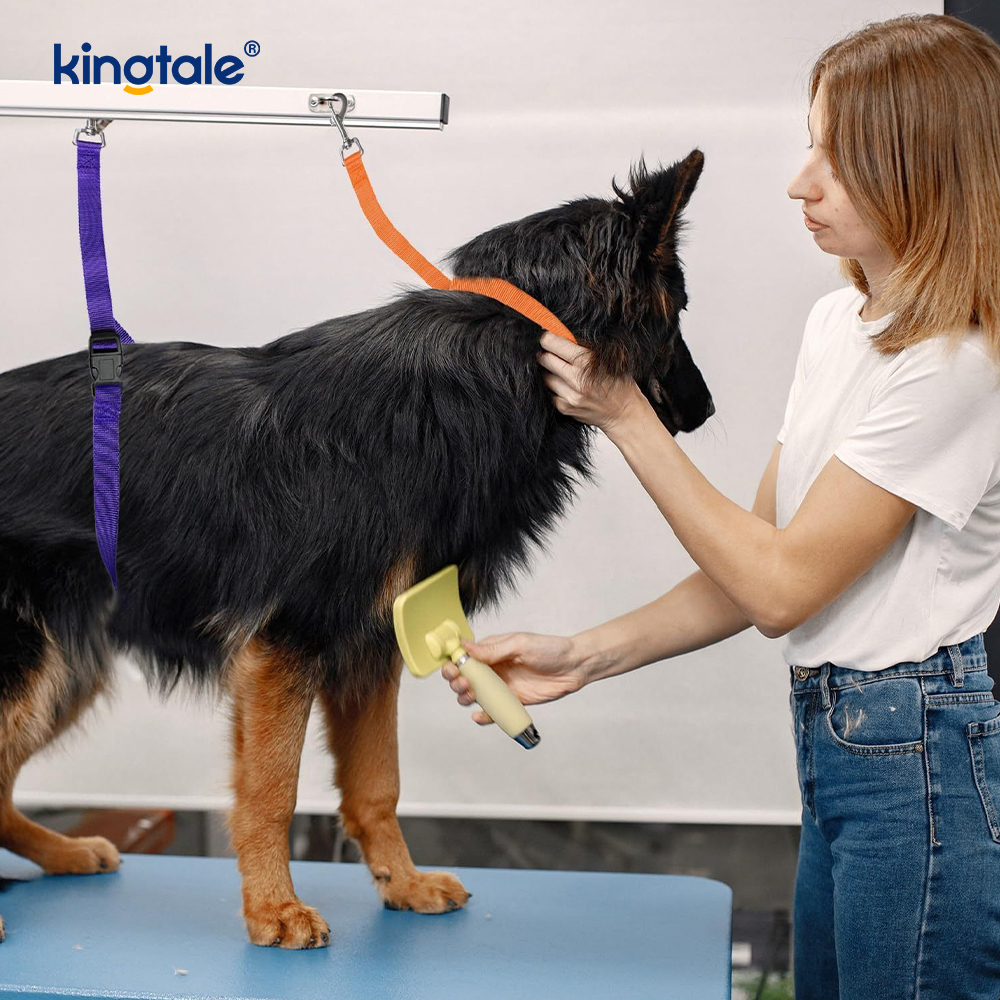 Cinghia di sicurezza regolabile per guinzaglio di ritenuta per toelettatura di animali all'ingrosso