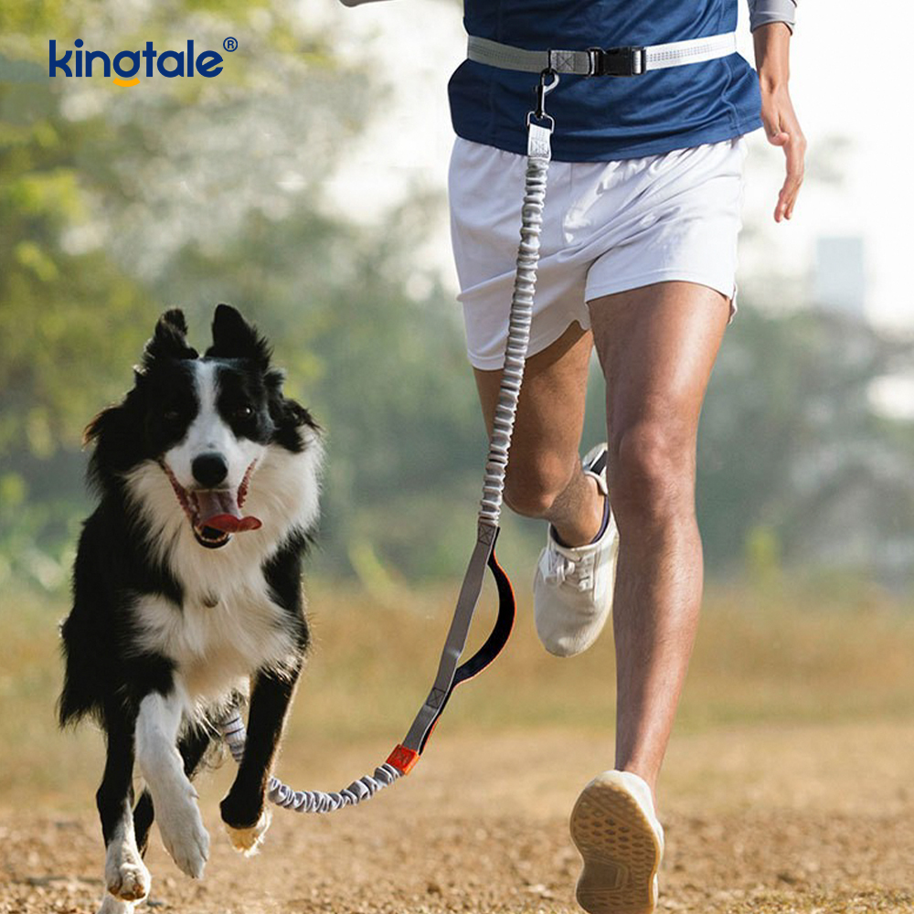 Guinzaglio per cani Amazon riflettente doppio retrattile per la corsa all'aperto