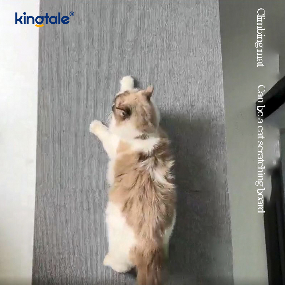 Tappeto autoadesivo antigraffio per gatti per la protezione dei mobili