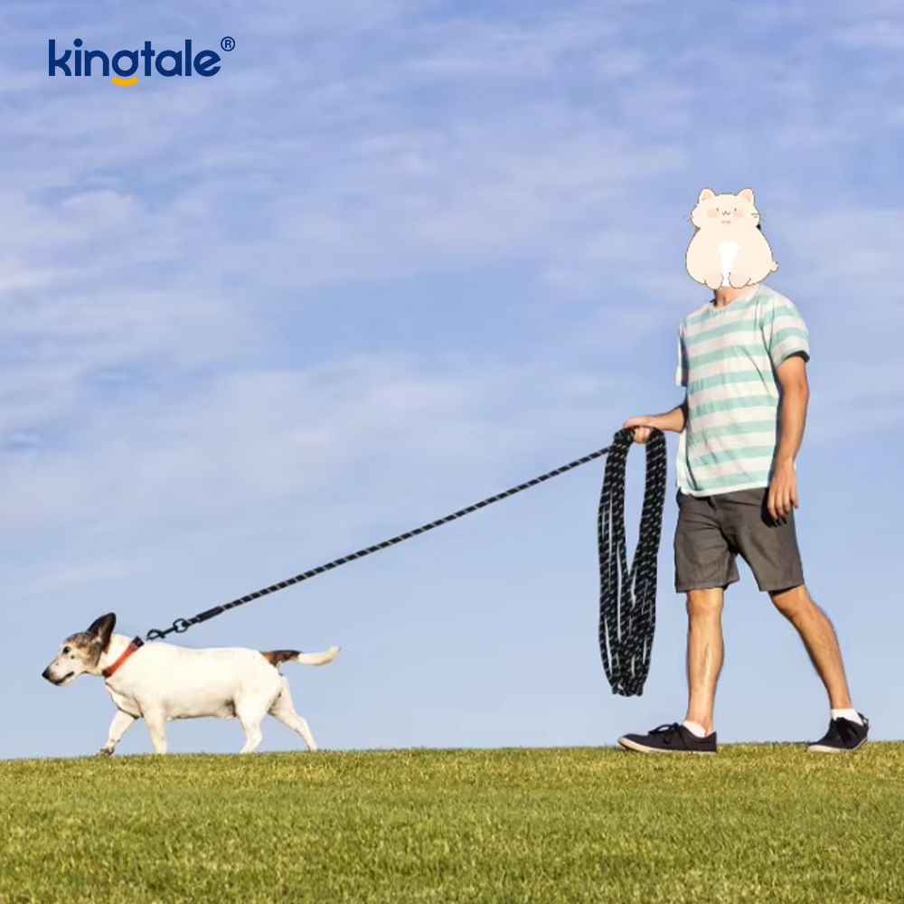 Guinzaglio per cani in nylon con stampa riflettente alla moda Guinzagli per animali domestici di nuovo arrivo