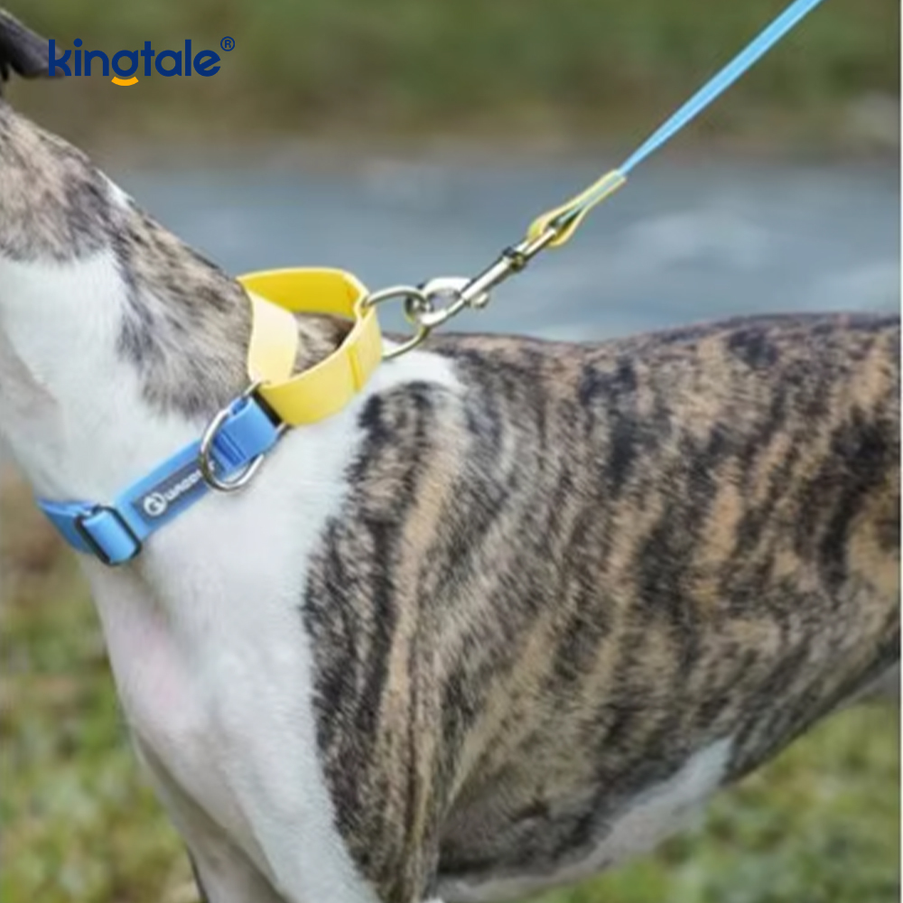 Guinzaglio per cani impermeabile, moda di lusso, semplice nylon per animali domestici