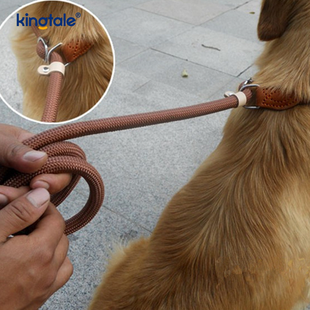 Guinzaglio a P extra lungo e spesso antistrappo per guinzaglio da addestramento per cani