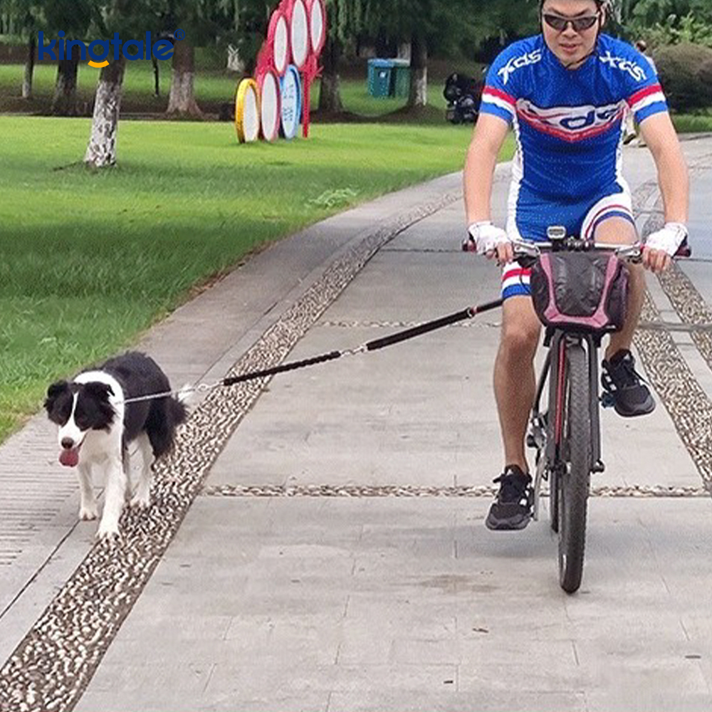 Attacco per guinzaglio per canna da bicicletta Corda da trazione per cani da ciclismo a mani libere