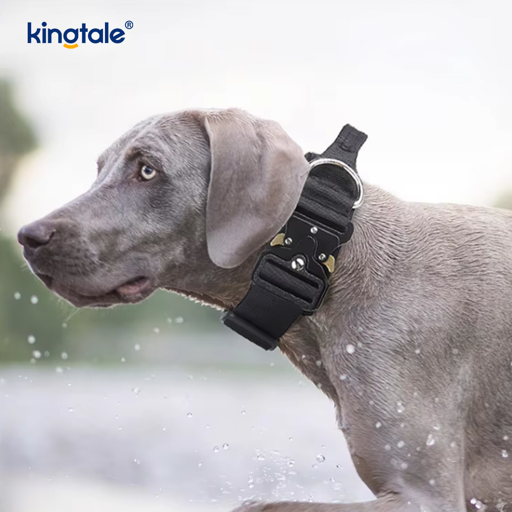 Set di imbracature per guinzaglio per collare per cani in nylon da addestramento con controllo