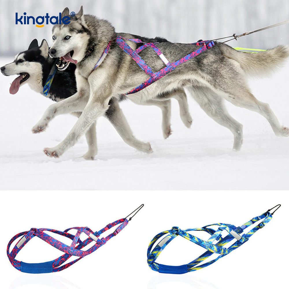Imbracatura per cani che tira Husky Mushing X Imbracatura posteriore per cani